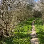- 135 Qm - 3 Sz - 2 Terrassen - Naehe Insel Poel Ostsee Damekow