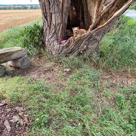 - 135 Qm - Naehe Insel Poel Ostsee בית נופש Damekow