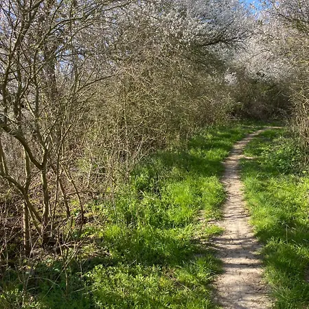 - 135 Qm - Naehe Insel Poel Ostsee Damekow