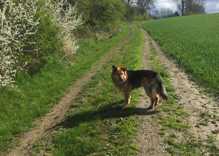 - 135 Qm - Naehe Insel Poel Ostsee *