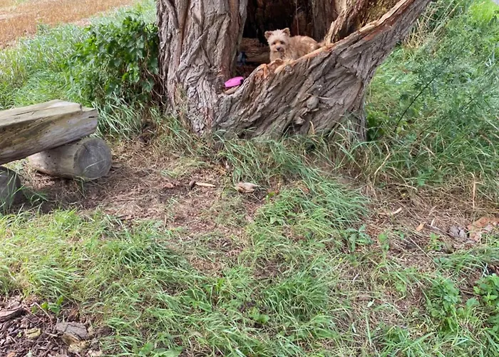 - 135 Qm - Naehe Insel Poel Ostsee 別荘 Damekow