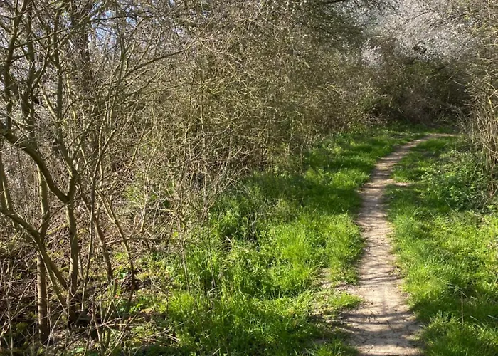 - 135 Qm - Naehe Insel Poel Ostsee Damekow