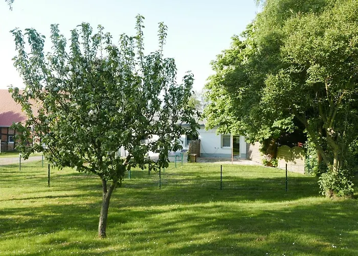 - 135 Qm - 3 Sz - 2 Terrassen - Naehe Insel Poel Ostsee Damekow